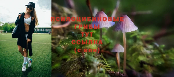 прущая мука Алзамай
