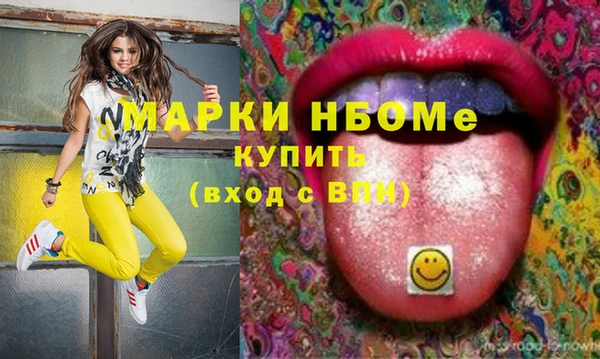 шишки Арсеньев