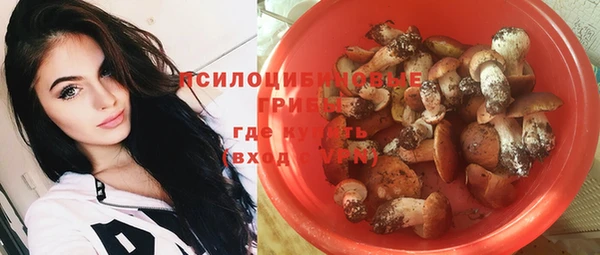 хмурый Балабаново