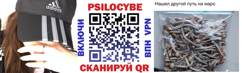 гидра ССЫЛКА Хвалынск Псилоцибиновые грибы Psilocybe